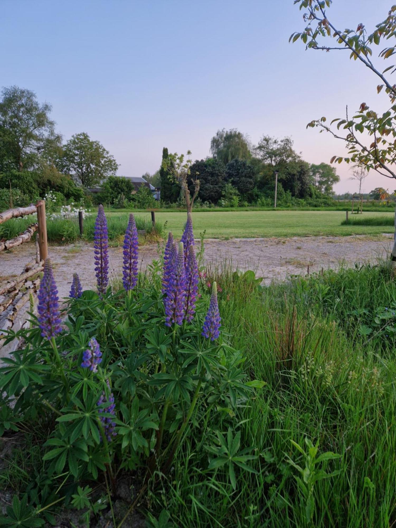 De Wilde Tuin - Tuinkamer Moergestel Esterno foto