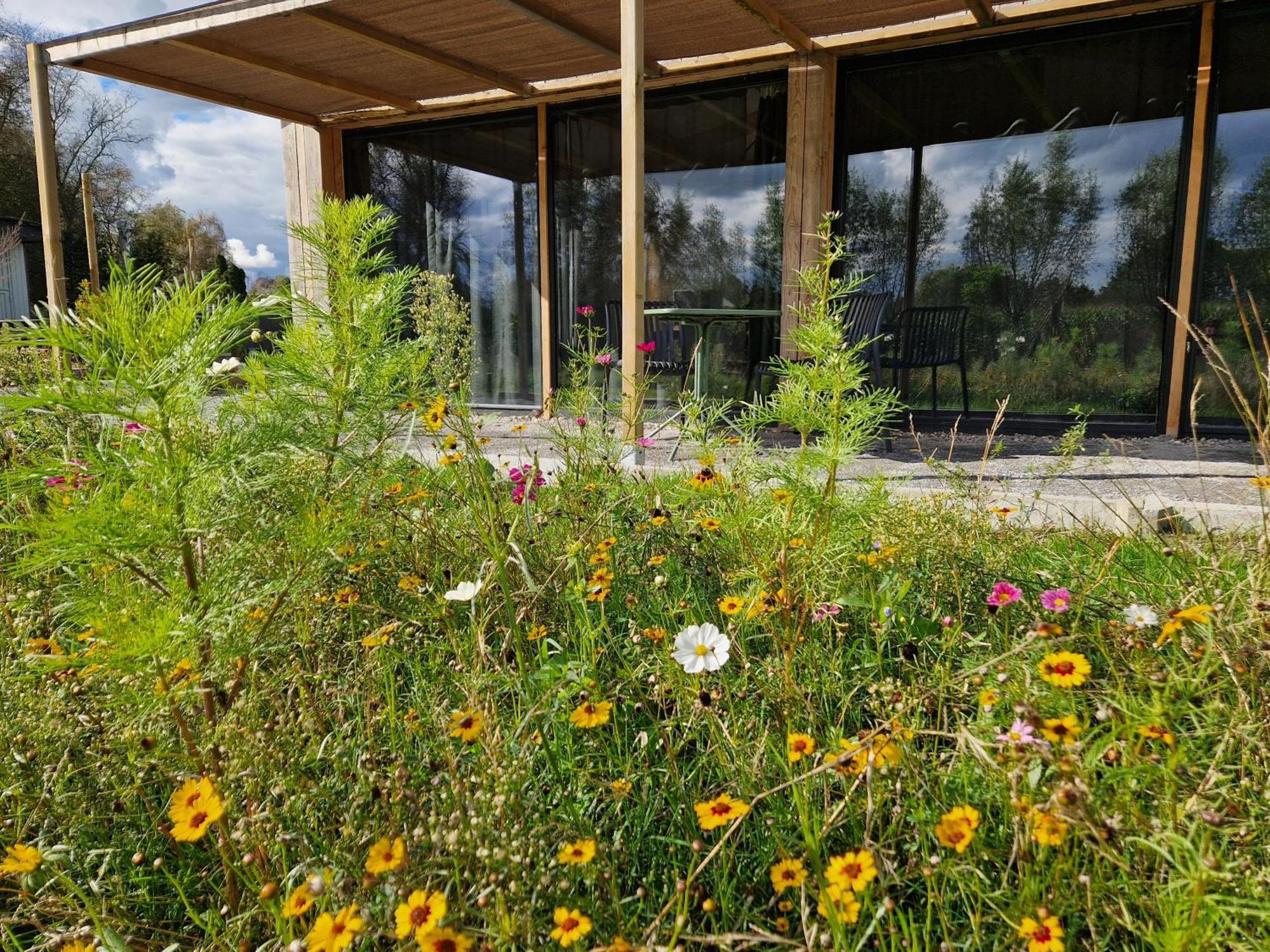 De Wilde Tuin - Tuinkamer Moergestel Esterno foto